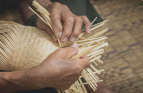 65 hectáreas de bosque y paisaje
