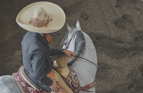 Sabores que cuentan historias