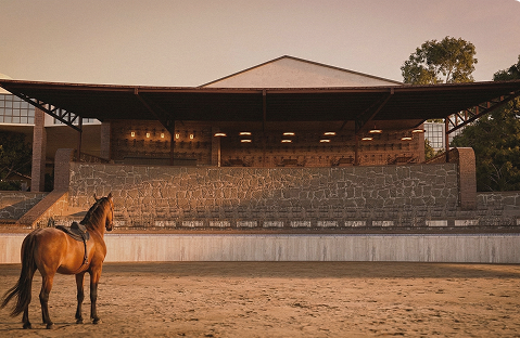 Sabores que cuentan historias